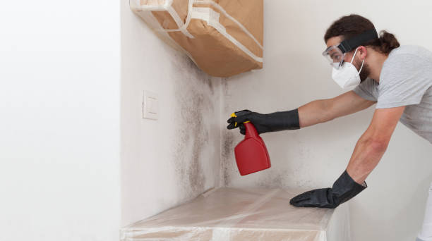 Professional Hvac And Air Duct Mold Remediation technician working in Levering, MI