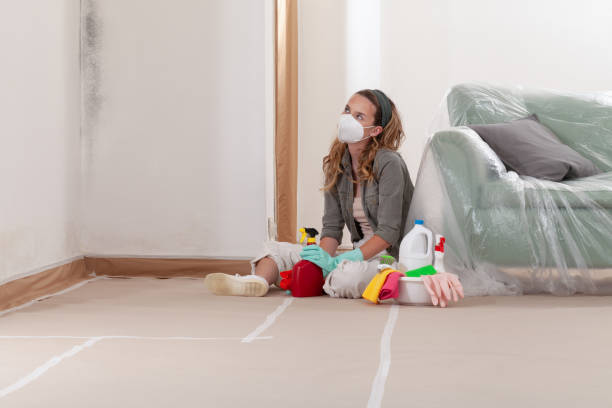 Reliable Hvac And Air Duct Mold Remediation contractor in Levering, MI by 24 Hour Mold Removal