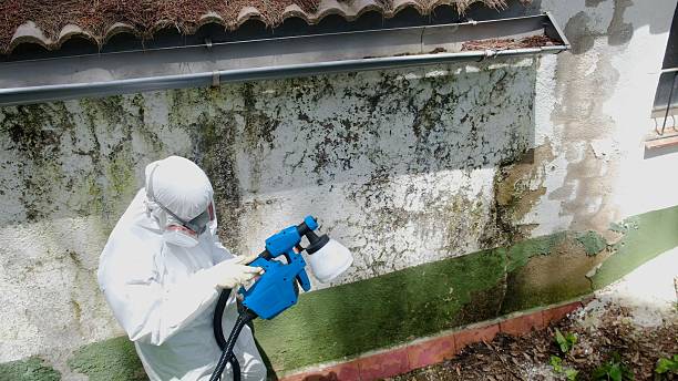 Top rated local Hvac And Air Duct Mold Remediation specialists in Levering, MI